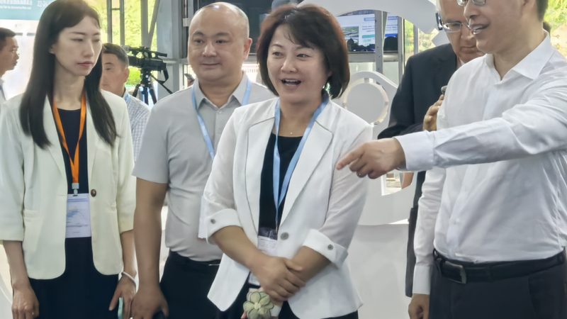 刹车片更换，S店保养费用几何？揭秘刹车片保养的真相**